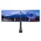 IIYAMA DS1002C-B1 2-monitor mount