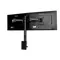 IIYAMA DS1002C-B1 2-monitor mount