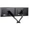 IIYAMA DS3002C-B1 Double Monitor Arm with Gas Spring