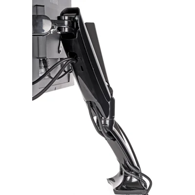 IIYAMA DS3002C-B1 Double Monitor Arm with Gas Spring