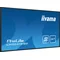 iiyama ProLite LH3241S-B2 DS monitor 32" IPS LED, 24/7, VGA, HDMI, USB Media Player