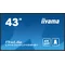 iiyama ProLite LH4365UHSB-B1 DS monitor 43" 4K IPS LED, 24/7, CMS iisignage2, Android11, Eshare, 800cd, WiFi, Lan, HDMI, DP