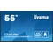 iiyama ProLite LH5565UHSB-B1 DS Monitor 55" 4K IPS LED, 24/7, CMS iisignage2, Android 11, Eshare, 800cd, WLAN, LAN, HDMI, DP