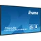 iiyama ProLite LH5565UHSB-B1 DS Monitor 55" 4K IPS LED, 24/7, CMS iisignage2, Android 11, Eshare, 800cd, WLAN, LAN, HDMI, DP