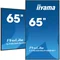 iiyama ProLite LH6565UHSB-B1 DS Monitor 65" 4K IPS LED, 24/7, CMS iisignage2, Android 11, Eshare, 800cd, WLAN, LAN, HDMI, DP