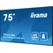 iiyama ProLite LH7565UHSB-B1 DS monitor 75" 4K IPS LED, 24/7, CMS iisignage2, Android11, Eshare, 800cd, WiFi, Lan, HDMI, DP