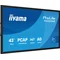 iiyama ProLite T4329AS-B1AG interactive monitor 43" 4K VA LED, USB-C, WiFi, LAN, eShare, iiShare
