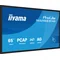 iiyama ProLite T6529AS-B1AG interactive monitor 65" 4K VA LED, USB-C, WiFi, LAN, eShare, iiShare
