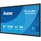 iiyama ProLite T6529AS-B1AG interactive monitor 65" 4K VA LED, USB-C, WiFi, LAN, eShare, iiShare