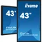 iiyama TF4339AS-B1AG interactive presentation monitor 43" IPS LED 4K /HDMI, DP, Android/ iiSignage², eShare, IP65, 24/7