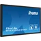 iiyama TF4339AS-B1AG interactive presentation monitor 43" IPS LED 4K /HDMI, DP, Android/ iiSignage², eShare, IP65, 24/7
