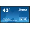 iiyama TF4339AS-B1AG interaktiver Präsentationsmonitor 43" IPS LED 4K /HDMI, DP, Android/ iiSignage², eShare, IP65, 24/7
