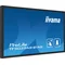 iiyama TF5039AS-B1AG interactive presentation monitor 50" IPS LED 4K /HDMI, DP, Android/ iiSignage², eShare, IP65, 24/7