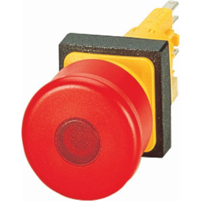 Illuminated safety pushbutton drive, Q25LPV