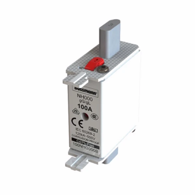 Industrial fuse, class gG/gL 100A 500VAC