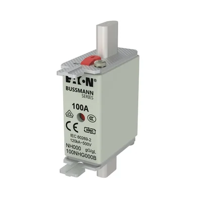 Industrial fuse, class gG/gL 100A 500VAC