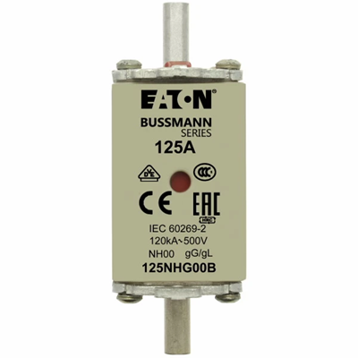 Industrial fuse, class gG/gL 125A 500VAC