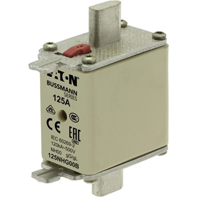 Industrial fuse, class gG/gL 125A 500VAC