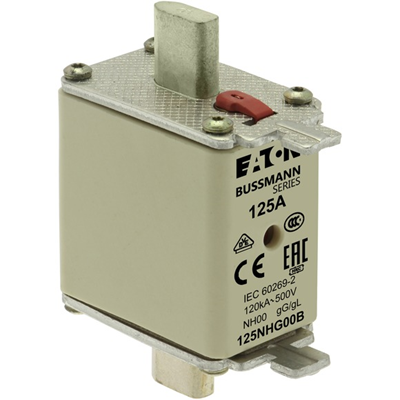 Industrial fuse, class gG/gL 125A 500VAC