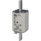 Industrial fuse-link Wt-1/gF 25A 500 - fast