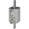 Industrial fuse-link Wt-1/gF 25A 500 - fast