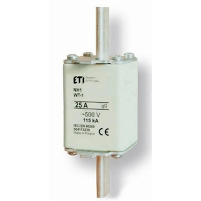 Industrial fuse-link Wt-1/gG 100A 500 - delayed