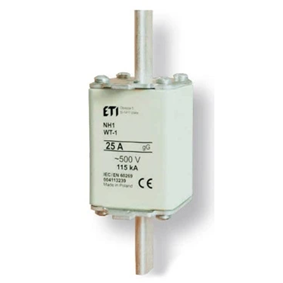 Industrial fuse-link Wt-1/gG 100A 500 - delayed