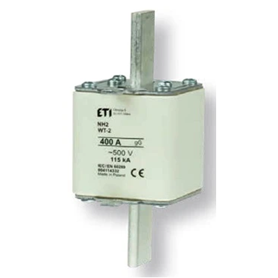 Industrial fuse link Wt-2/gG 100A 500 - delayed