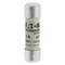Insert cylindrique C10G2 10 x 38 mm 2A GG 500V CA