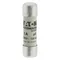 Insert cylindrique C10G2 10 x 38 mm 2A GG 500V CA