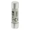 Insert cylindrique C10G2 10 x 38 mm 2A GG 500V CA