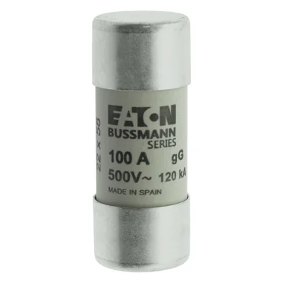 Insert cylindrique C22G100 22 x 58 mm 100 A GG 500 V CA