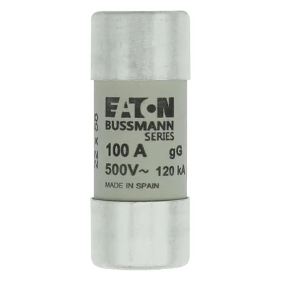 Inserto cilindrico C22G100 22 x 58 mm 100A GG 500V CA