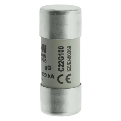 Inserto cilíndrico C22G100 de 22 x 58 mm, 100 A GG, 500 V CA