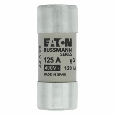 Inserto cilíndrico C22G125 de 22 x 58 mm, 125 A GG, 400 V CA