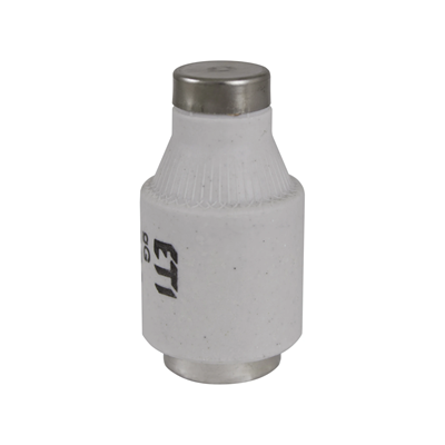 Inserto de fusible DIII gG 63A 500 (BiWtz) - retardado