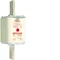 Inserto fusibile a coltello NH2 gTr 400V 289A