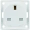 INTEGRO FLOW Prise de terre "British standard" avec protection renforcée des contacts blanc neige mat