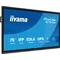 Interactive monitor iiyama 75" TE7515A-B1AG 4K UHD Google EDLA iiShare, DMS, WiFi, USB-C, HDMI, DP