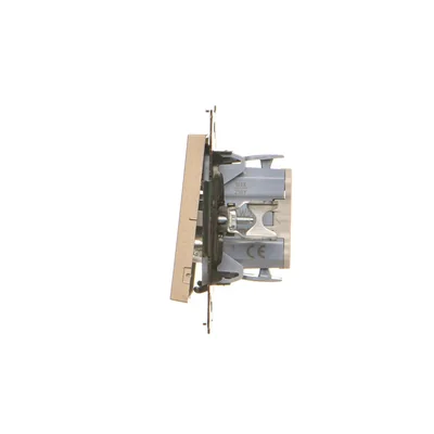 Interrupteur à bougie Simon 55 WMDL-0107xx-144 (module) 10 AX, 250 V~, connecteurs rapides ; finition champagne mat