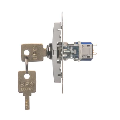 Interrupteur à clé unipolaire (module) 2 positions 0-I N/O contact 5 A 230V argent (métallique)