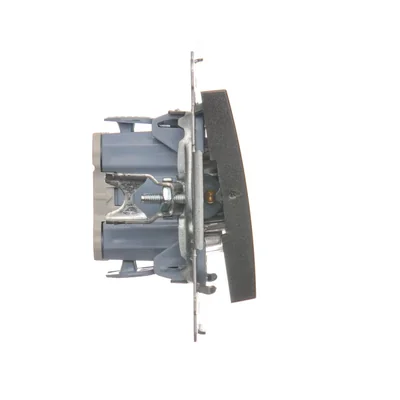 Interrupteur bipolaire avec rétroéclairage LED (module) 10A, 250V, connecteurs rapides, anthracite (métallique)