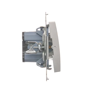 Interrupteur bipolaire (module) 16A, 250V, bornes à vis, argent (métallique)