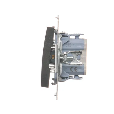 Interrupteur d'escalier avec rétroéclairage LED (module) 10A 250V connecteurs rapides anthracite (métallique)