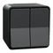 Interrupteur d'escalier double MUREVA STYL IP55 Anthracite