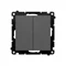 Interrupteur double d'escalier Simon 55 WMDL-TW6-2X-116 sans pictogramme (module) 10 AX, 250 V~, connecteurs rapides ; graphite mat