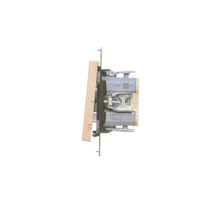 Interrupteur double d'escalier Simon 55 WMDL-TW6-2X-144 sans pictogramme (module) 10 AX, 250 V~, connecteurs rapides ; Champagne mat