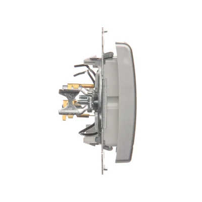 Interrupteur hôtel avec rétroéclairage 10A (module) argent (métallique)