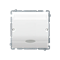Interrupteur hôtel double avec rétro-éclairage, 2x10A, blanc