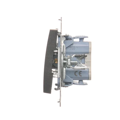 Interrupteur unipolaire avec rétroéclairage LED (module) 10A 250V connecteurs rapides anthracite (métallique)